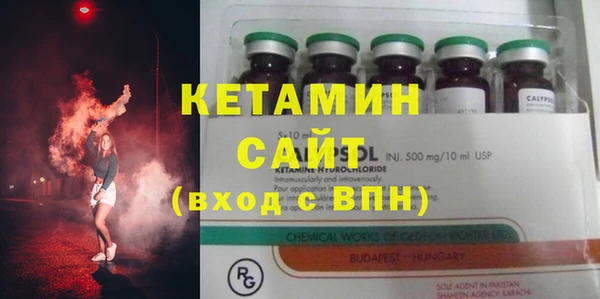 прущие грибы Кулебаки