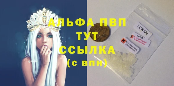спиды Кукмор