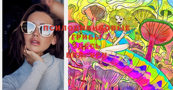 спиды Кукмор