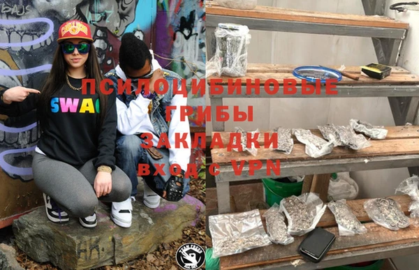 спиды Кукмор