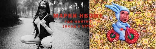 прущие грибы Кулебаки