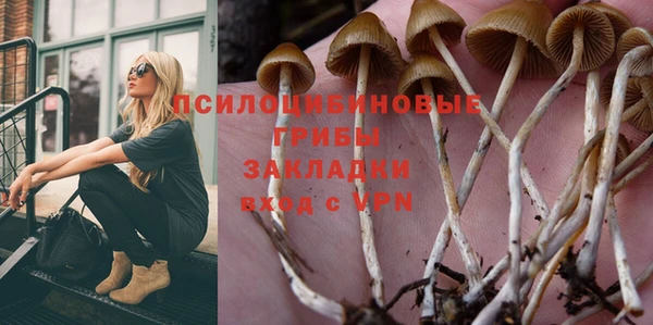 мескалин Ладушкин