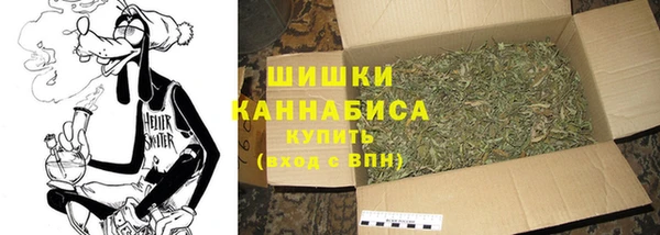 спиды Кукмор