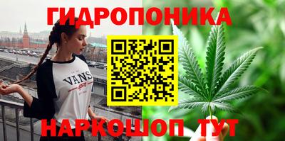 a pvp Гусев
