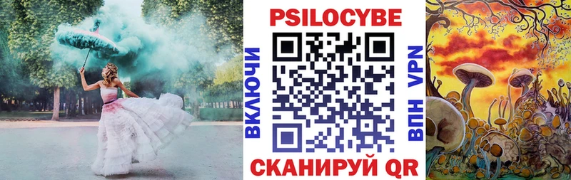 Псилоцибиновые грибы Psilocybine cubensis где купить наркоту Малгобек