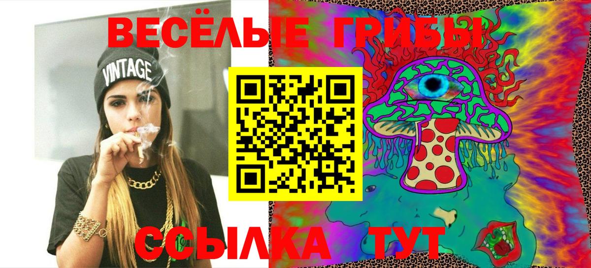 Псилоцибиновые грибы MAGIC MUSHROOMS  Галлюциногенные грибы ЛСД  Малгобек  наркотики  Вход с VPN 